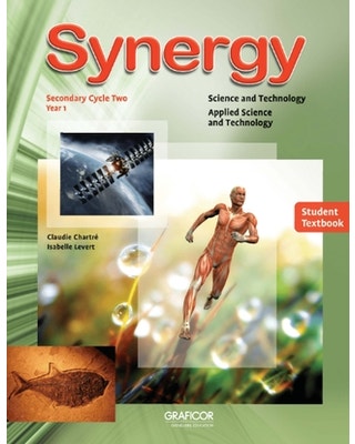 Synergy -  Cycle Two (Year One)